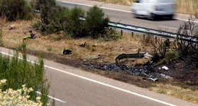 Galerie foto - poza 3