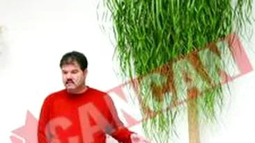 Si-a decorat vila cu plante exotice de 8.000 de euro