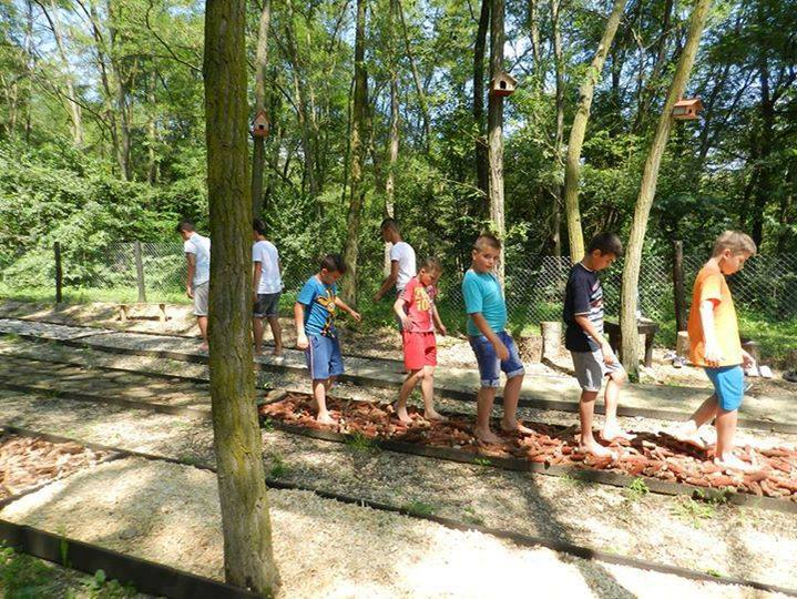 Aleea terapeutică, o variantă gratuită de petrecere a timpului în natură