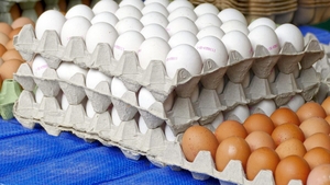 Cât va costa un ou, înainte de Paște? Prețurile au luat-o razna din cauza gripei aviare