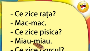 BANCUL ZILEI | Rața, pisica și porcul