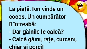 BANCUL ZILEI | La piață, Ion vinde un cocoș