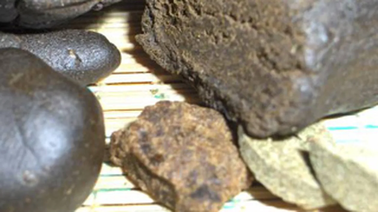 Patru traficanti de cannabis din Craiova au fost retinuti