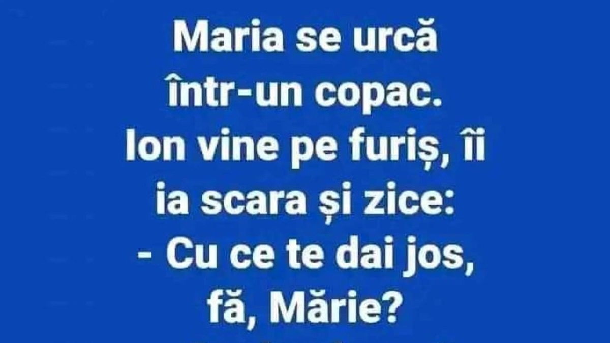 BANC | Maria se urcă într-un copac. Ion vine pe furiș și ia scara: "Cu ce te dai jos?"
