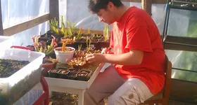 Galerie foto - poza 4