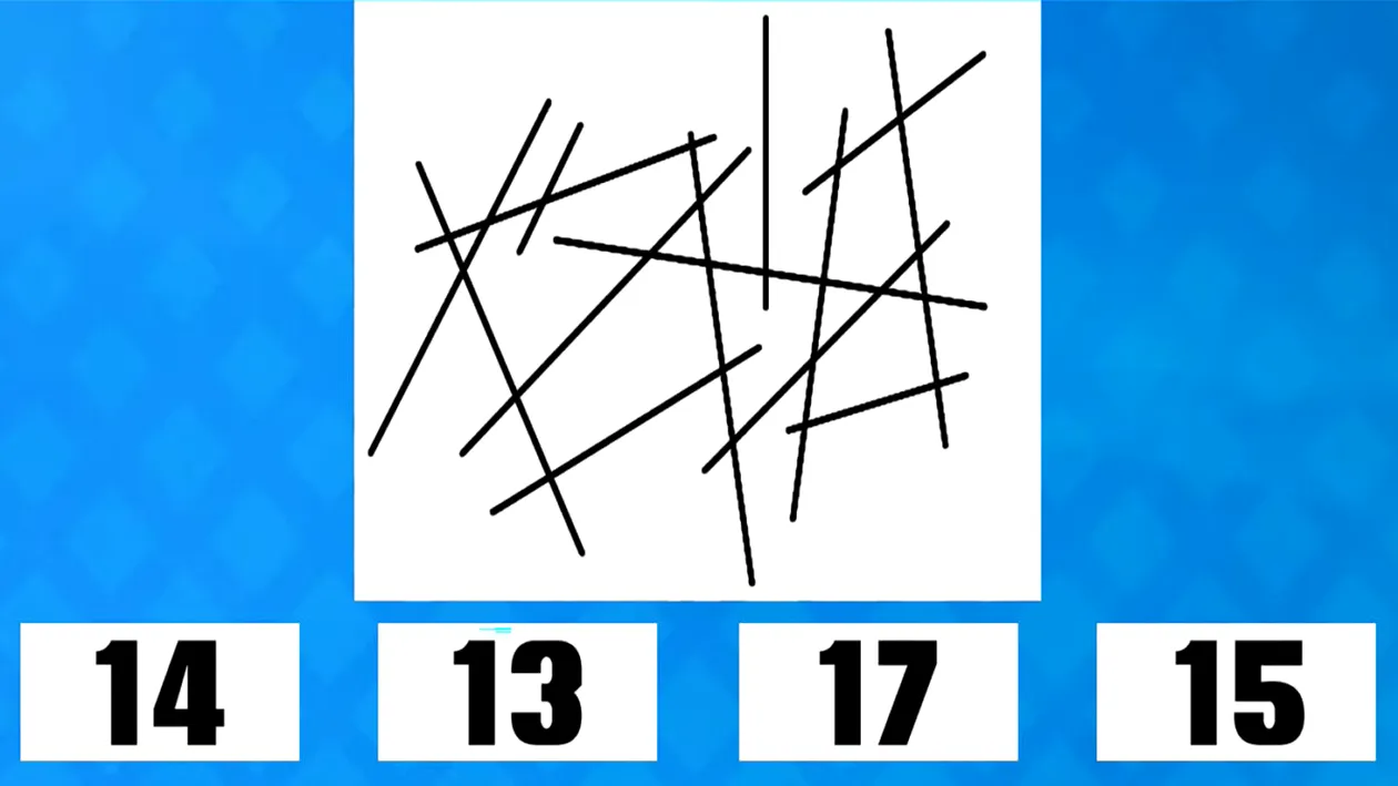 Test de inteligență | Câte linii apar în această imagine: 14, 13, 17 sau 15?