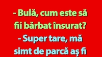 BANC | Bulă și viața de bărbat însurat
