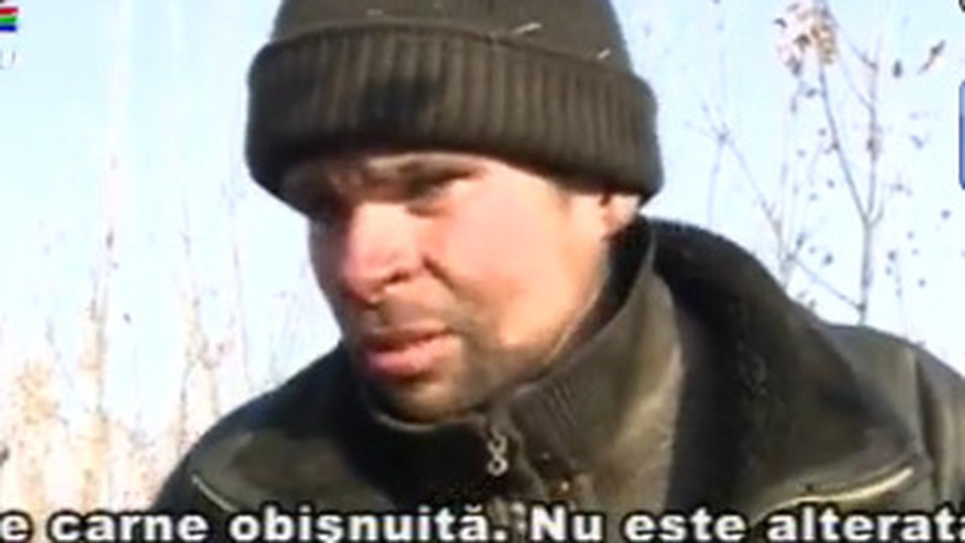 Caz incredibil in Chisinau! Un barbat mananca pisici si caini, iar cu pieile ramase se incalzeste iarna! Uite cum arata masa lui zilnica! VIDEO IREAL!