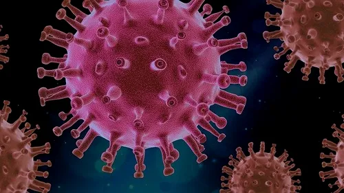 Bilanț coronavirus România, 27 august 2021. 946 de cazuri s-au înregistrat în ultimele 24 de ore