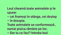 BANC | Leul cheamă toată animalele și le spune: Cei frumoși - în stânga. Cei deștepți - în dreapta!