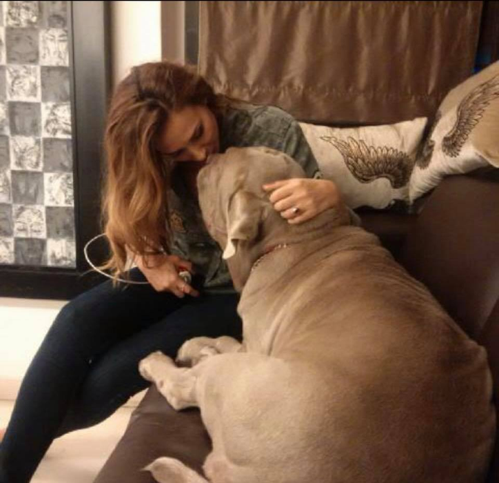 Familia lui Salman Khan e în doliu. Actorul și Iulia Vântur sunt îngenuncheați de durere. “Ne-ai învățat ce este dragostea, iubirea mea”