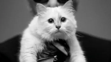 A innebunit!?! Declaratia fabuloasa a unui cunoscut creator de moda: Vreau sa ma casatoresc cu pisica mea