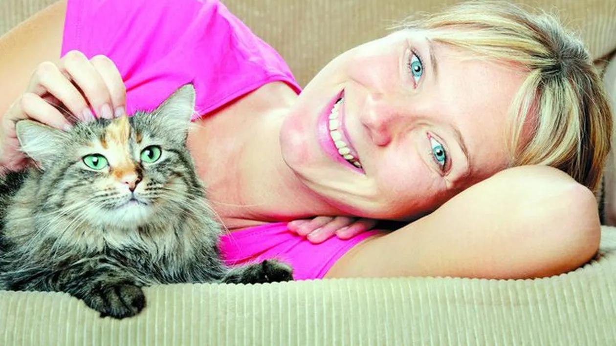 Proprietarii de pisici, mai inteligenti decat cei de catei