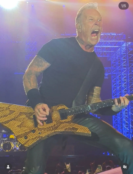 Membrii trupei Metallica adoră creațiile românului nostru