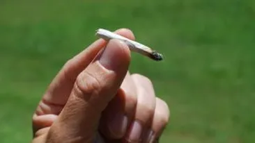 California ar putea deveni primul stat american care legalizeaza consumul si posesia de marijuana