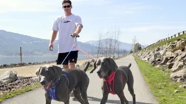 Americanii pasionaţi de câini pot acum să-i împrumute printr-o aplicaţie!  