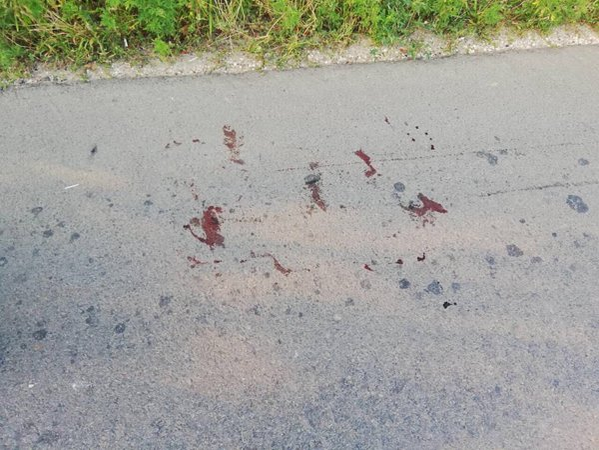 Imagini sfâșietoare! Un preot din Moldova a legat un câine de mașină și l-a târât pe șosea