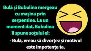 BANC | Bulă, Bubulina și divorțul în serpentine