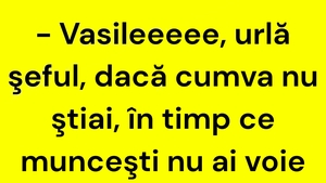 BANCUL ZILEI | Șeful urlă la Vasile