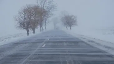 COD GALBEN de viscol! Ce judete sunt vizate