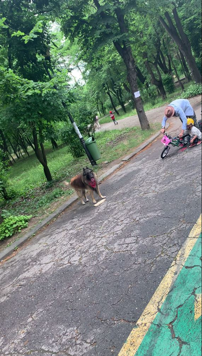 Chef Foa și fiul său, aventuri cu bicicleta (Foto: CANCAN.RO)