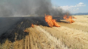 Ultima oră. Incendiu de vegetație în Vrancea. Mai mult case au fost cuprinse de flăcări
