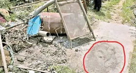 Galerie foto - poza 1