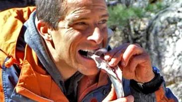 Absolut incredibil! Bear Grylls a fost dat afara de la Discovery! Nu va mai aparea in nicio productie a postului! Vezi motivul uluitor