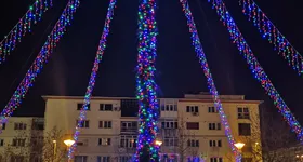 Galerie foto - poza 4