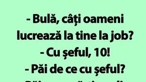 BANC | "Bulă, câți oameni lucrează la tine la job?"