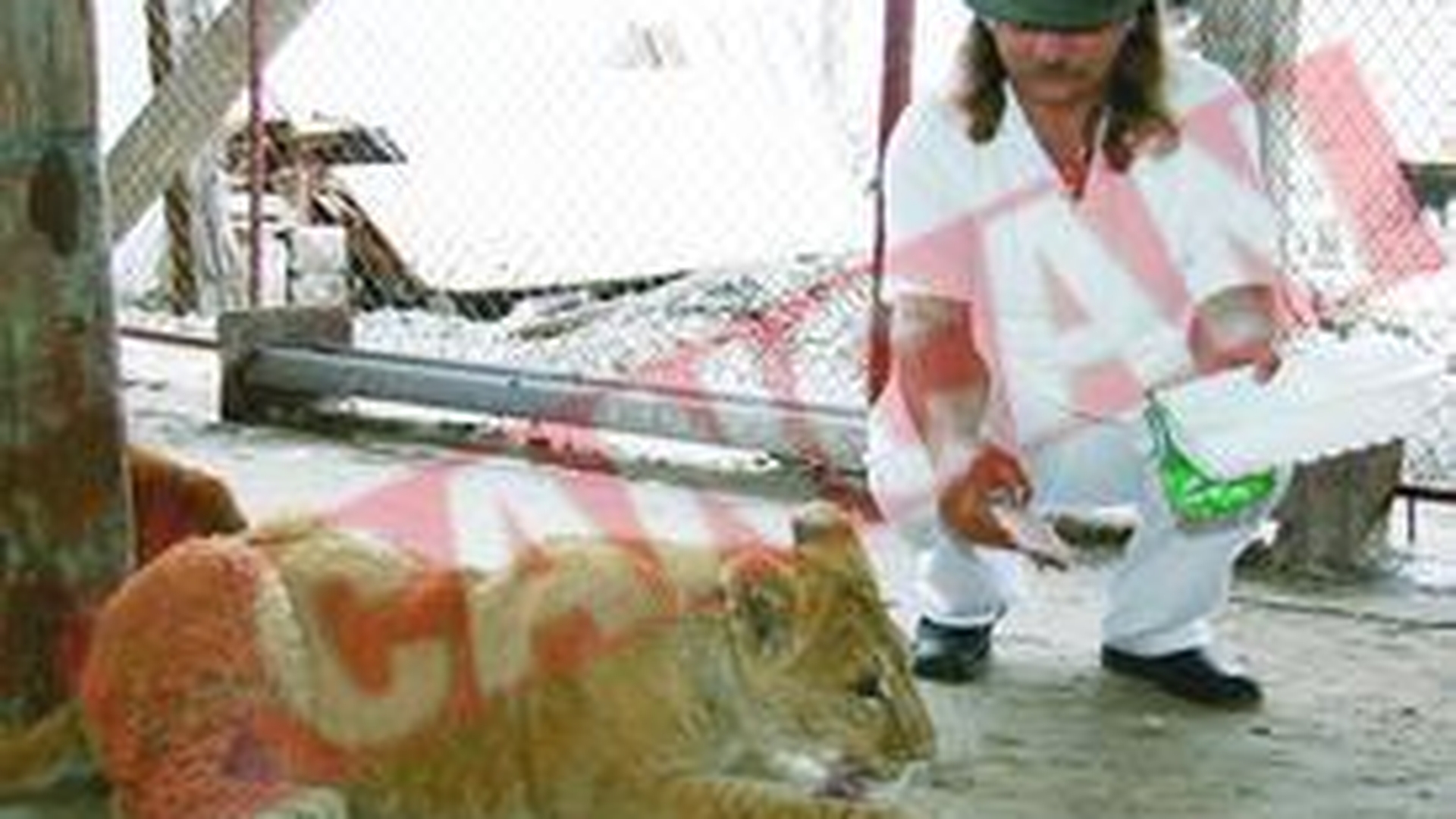 Si-a facut gradina zoologica acasa