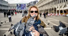 Galerie foto - poza 2