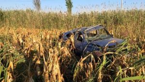 Descoperire șocantă, într-un lan de porumb din Vrancea. Un agricultor a găsit doi tineri morți, într-un autoturism