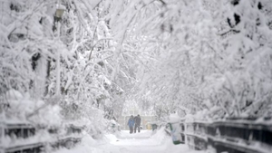 METEO 3 ianuarie 2019! ANM a făcut anunțul: Gerul loveşte România