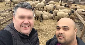 Galerie foto - poza 2