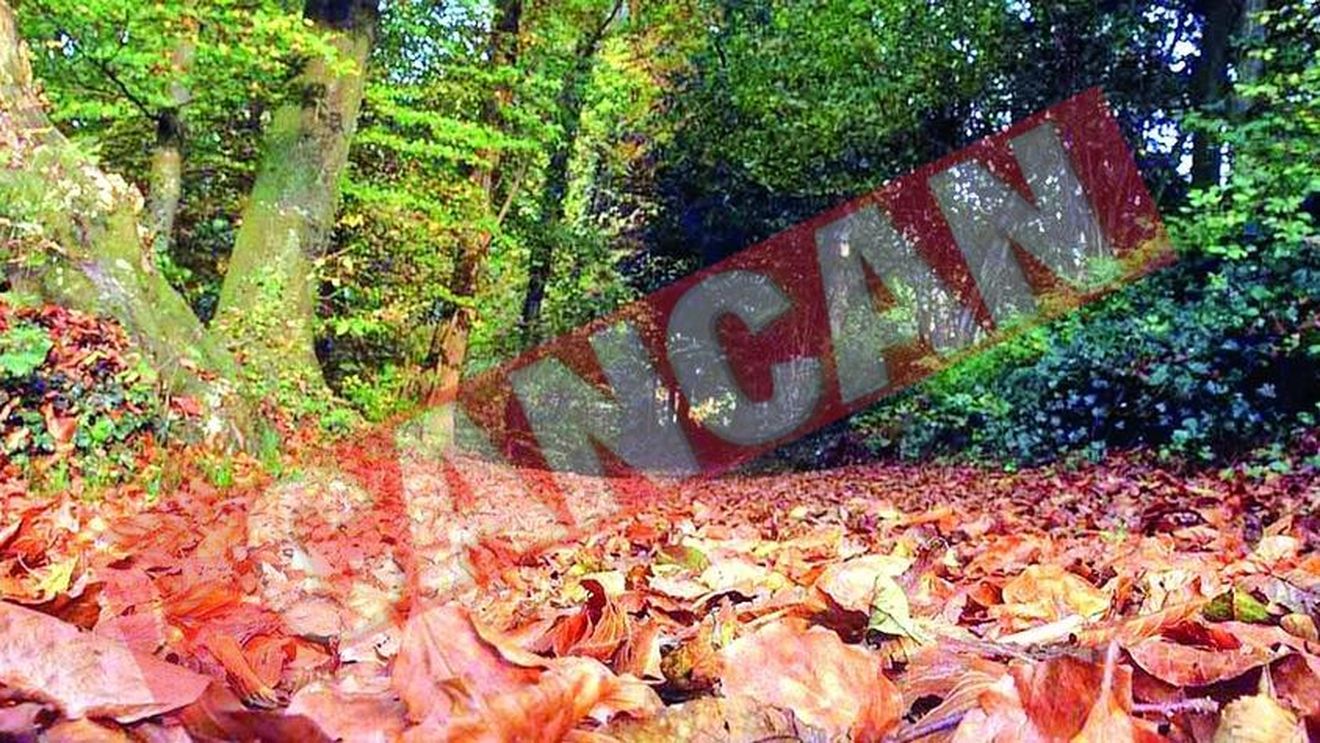 Patriciu se relaxeaza in Canada cu fosta sotie