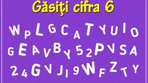 Test de inteligență | Ești un geniu dacă poți găsi cifra 6 ascunsă în această poză!