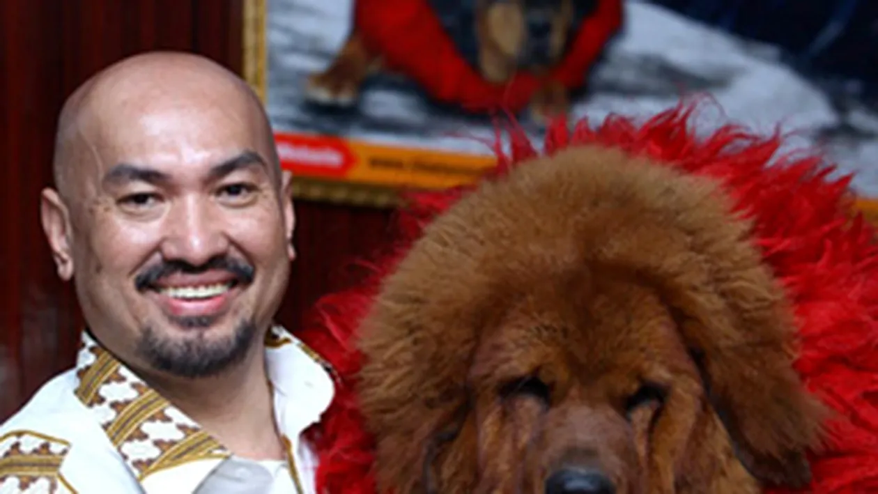 Are cea mai scumpa haita de caini