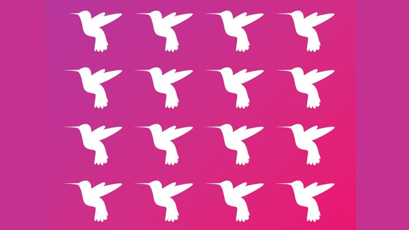 Test de logică | În această poză sunt 16 păsări, dar una e diferită de celelalte. Care?