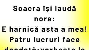 BANC | Soacra își laudă nora: "4 lucruri face deodată!"
