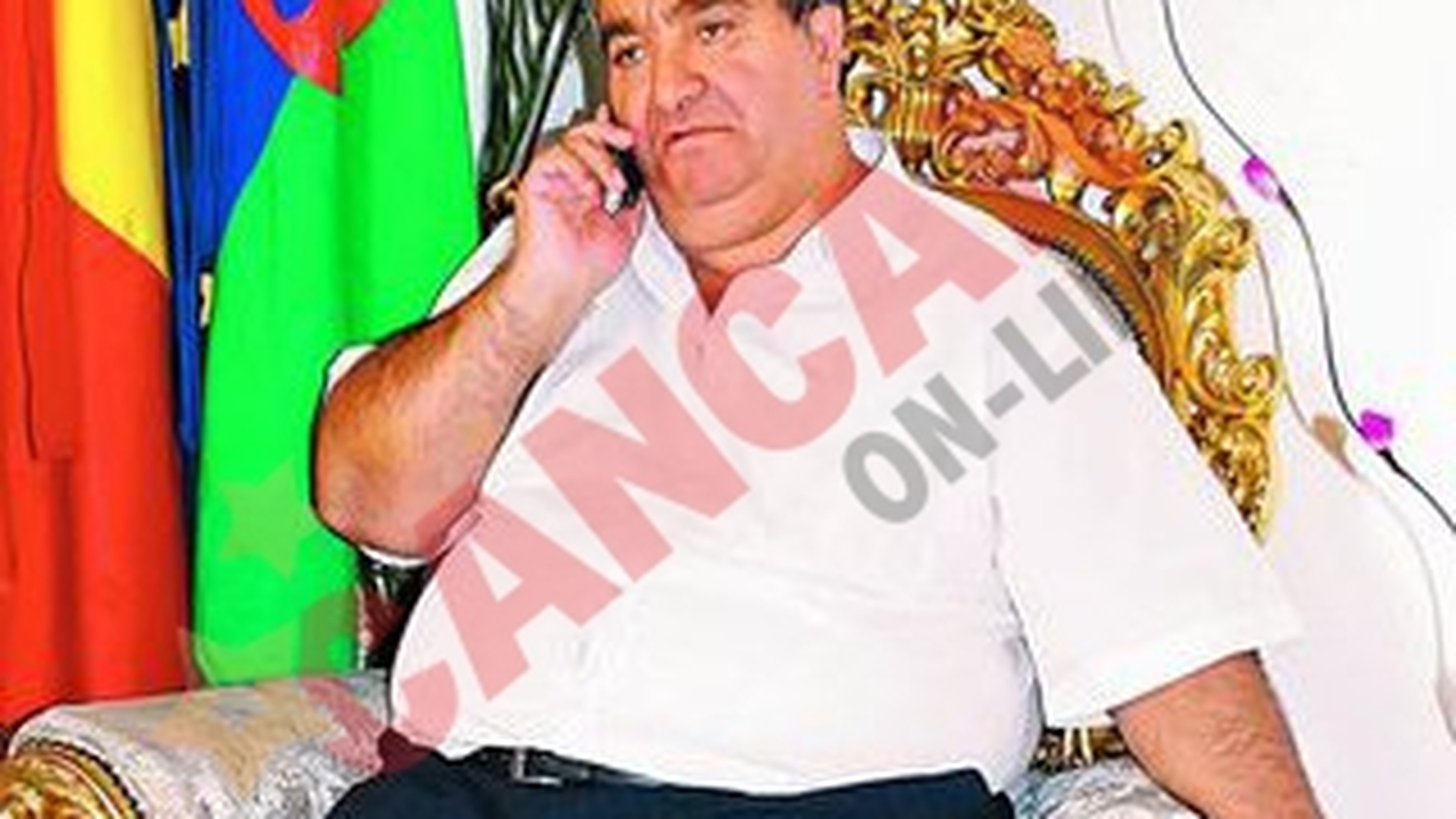 Regele Cioaba vrea sa-si transforme palatul in muzeu!