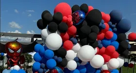 Galerie foto - poza 3