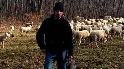 Ce salariu are un cioban la oi în Italia. Cât ar câștiga în România