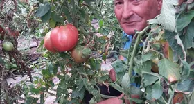 Galerie foto - poza 1