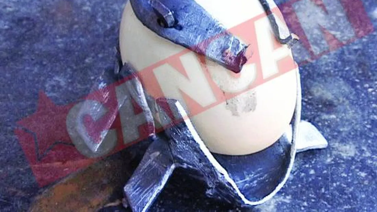 A incondeiat oua Cancan