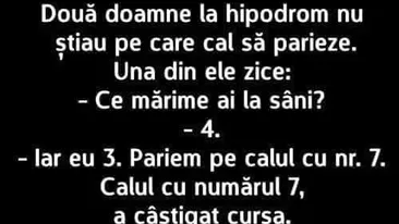 BANC | Două doamne, la hipodrom, nu știau pe ce cal să parieze: Ce mărime ai la sâni?
