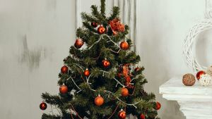 O, brad frumos! Istoria unui simbol care a traversat imperii, credințe și secole