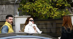 Galerie foto - poza 3