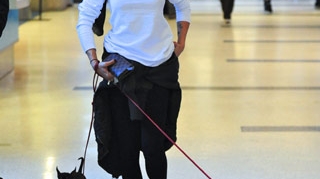 Elisabetta Canalis, fosta iubita a lui George Clooney, alergata de catei pe aeroport. Afla aici din ce cauza!