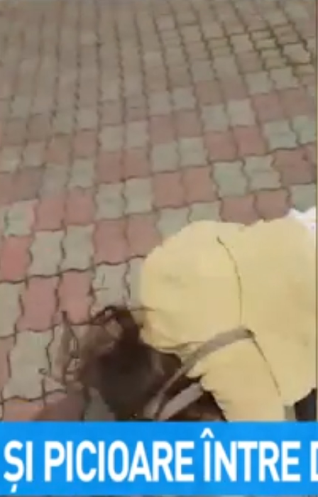 Două adolescente s-au bătut cu pumnii și picioarele într-un parc din Dâmbovița - Captura Antena3